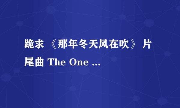 跪求 《那年冬天风在吹》 片尾曲 The One - 冬季爱情 的歌词谐音。