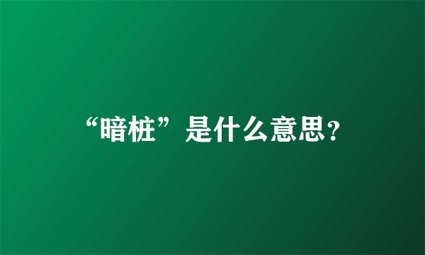 “暗桩”是什么意思？