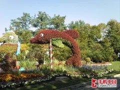 拍照效果：用事实说话