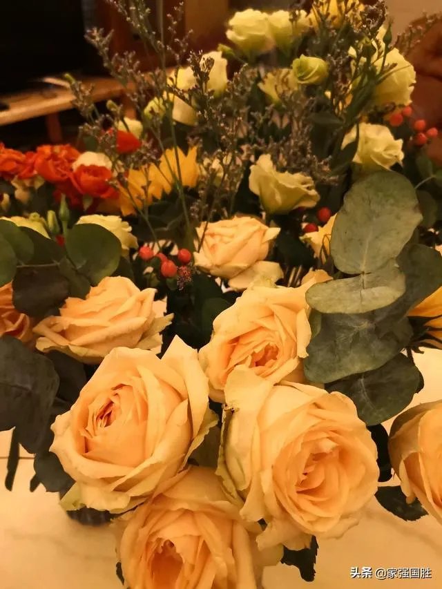 哪一个浏览器比较好用？