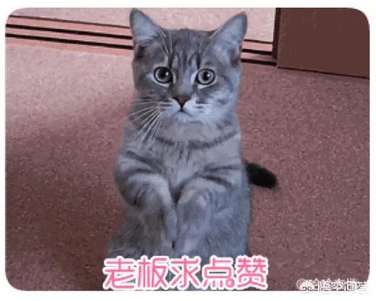 有什么值得购买的面膜推荐吗?