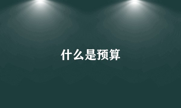 什么是预算