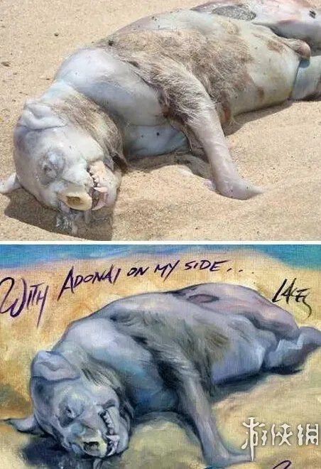 海滩惊现怪兽尸体 盘点10大轰动全球的海滩神秘怪兽