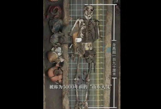 5000年前山东大汉身高实测近2米 网友：祖传身高