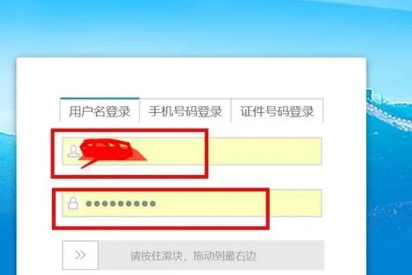 河北国税普通发票查询