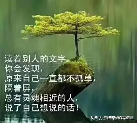 你最想看到的美国疫情的最新情况是什么？