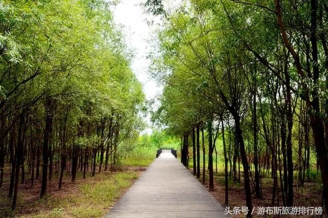 崇明有什么好玩的地方？